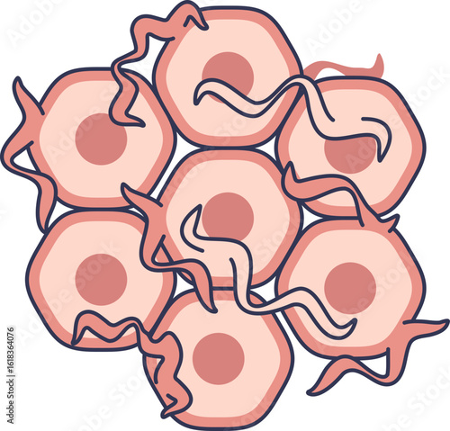 An illustration of cross-linked tissue, showing cells interconnected by extracellular matrix fibers. This represents cell adhesion, tissue structure, and biological engineering concepts.