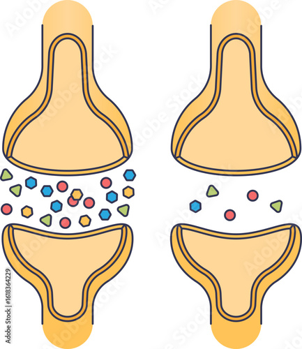 Diagram comparing a healthy synapse with abundant neurotransmitters to one with a deficiency, illustrating a neurotransmitter imbalance. Main objects are neurons and chemical messengers.