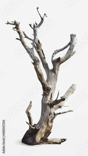 Weathered Dead Tree with Gnarled Twisted Branches – Vector Illustration