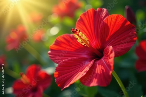 Crimson starbloom, vibrant petals unfurl in sunlit glade , fantasy, red flower, rare