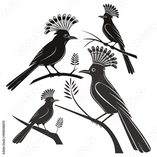 Silhouette Illustration of Amazonian Royal Flycatcher Birds Perched on Branches with Elegant Crests