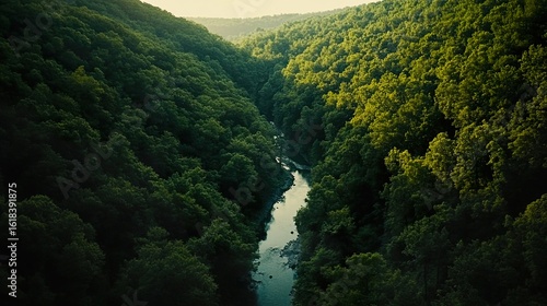 Winding River Through a Dense Forest