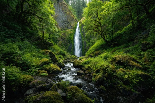 Lush waterfall cascading through a verdant forest