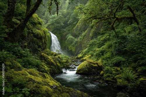 Lush waterfall cascading through a verdant valley