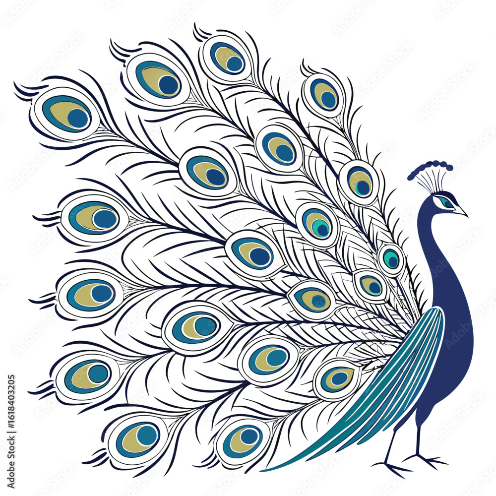 Obraz premium Elegant peacock with colorful tail feathers spread detailed illustration isolated on white background decorative bird design