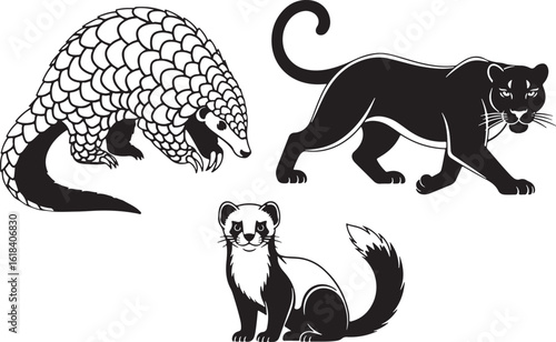Black and white illustrations of pangolin panther and ferret, pangolin, panther, ferret, animal, wildlife, illustration, black and white, graphic, vector, drawing, silhouette, mammal, wild animal, pre