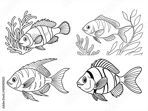 coloring page line art the damselfish black vector bundle