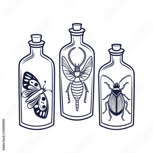 Vintage collection of insects captured in glass bottles line art