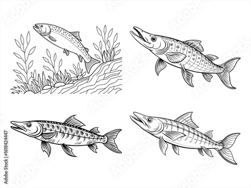 coloring page line art the pike black vector bundle
