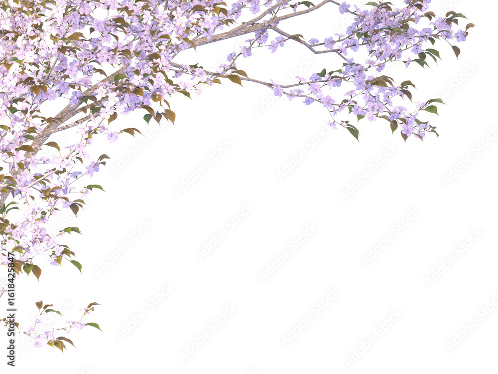 Fototapeta premium cherry blossom border