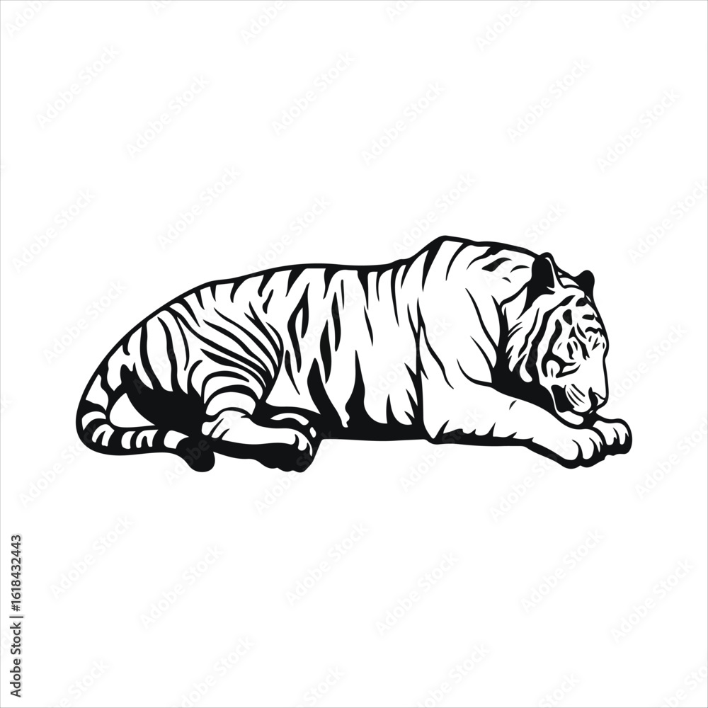 Obraz premium Detailed illustration of a resting tiger in black and white