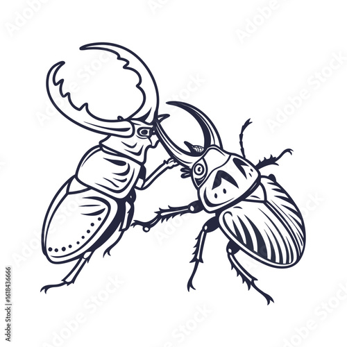 Line art illustration of two beetles in a horn clash pose