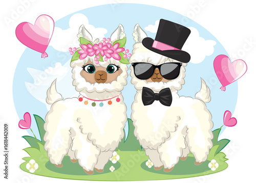cute couple cartoon llama with no drama llama text. Happy Valentine's day greeting card.