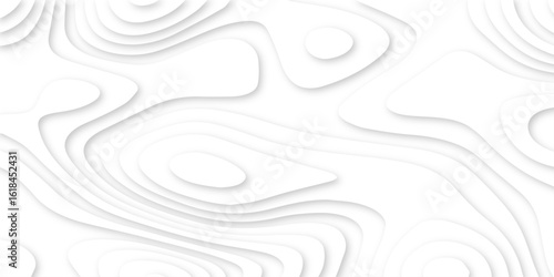 Abstract white and light gray overlapping paper cutouts background with layered design resembling a topographic map and natural landscapes or artistic paper art techniques, with no distinct objects.