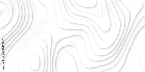 Abstract white and light gray overlapping paper cutouts background with layered design resembling a topographic map and natural landscapes or artistic paper art techniques, with no distinct objects.