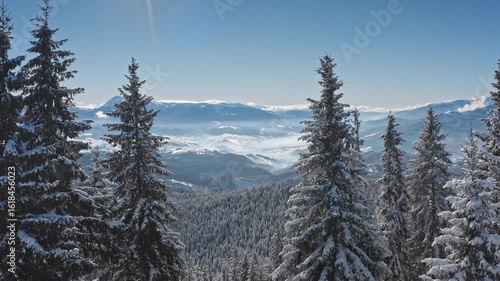 Drone flying above snowy pine forest revealing breathtaking view of winter mountain landscape with snow covered slopes and low clouds covering valley on sunny day. Winter wild nature travel background