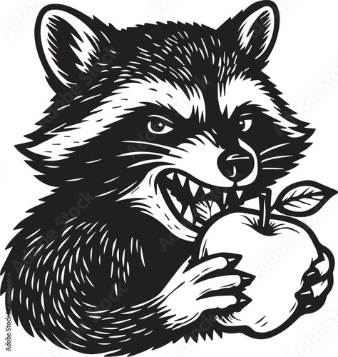 angry raccoon biting an apple