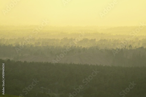 Misty sunset horizon of trees at Glenmore Forest Park in the Cairngorms National Park in the Scottish Highlands of Scotland UK.
