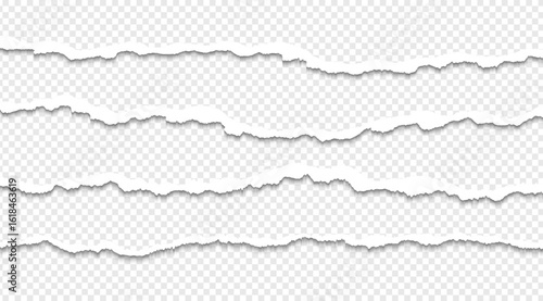 Ripped paper strips with rough torn edges