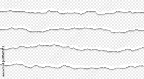 Ripped paper strips with rough torn edges