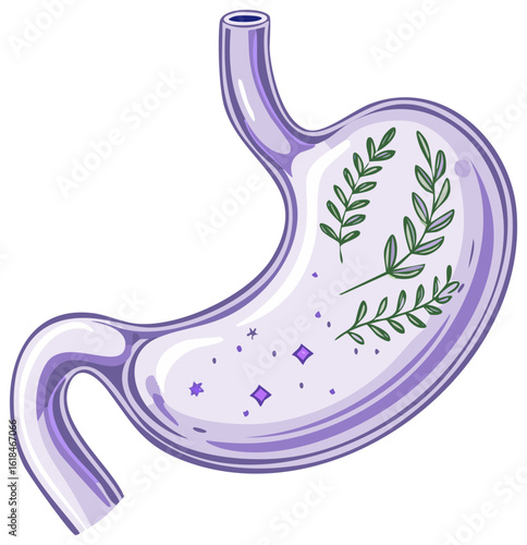 Healthy human stomach illustration with herbal leaves and glowing elements