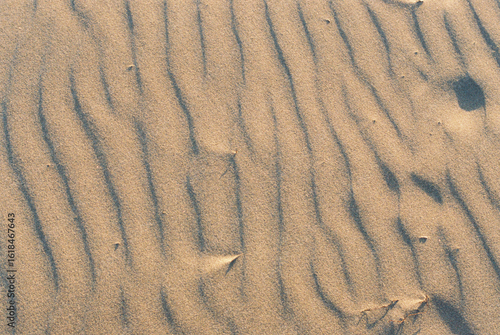 Patterns of sand shaped by wind at a beach in the late afternoon sun, highlighting nature's intricate designs in the coastal environment Patterns of sand shaped by wind at a beach in the late afternoon sun, highlighting nature's intricate designs in the coastal environment