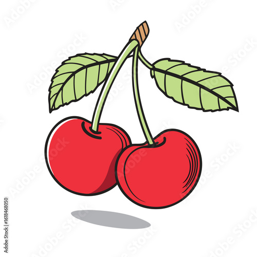 Red cherries with green leaves and stems vector