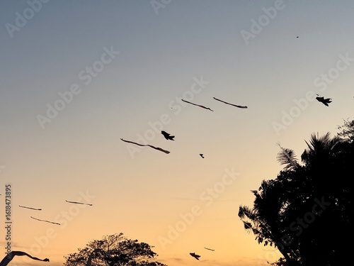 Kites on the sunset sky in Sanur beach, Bali, Indonesia