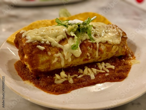A plate of wet burrito with nachos. Cheese on top. Delicious Mexican food