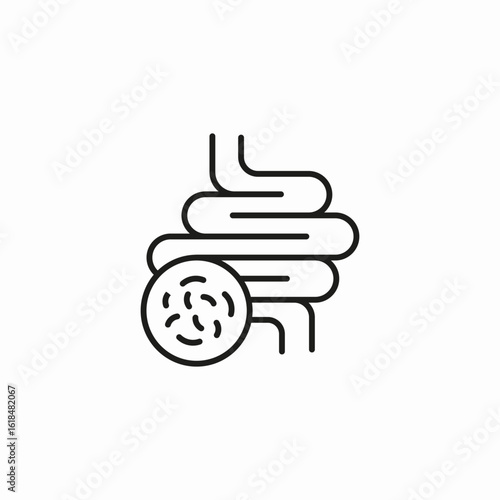 intestine bacteria gut icon sign vector