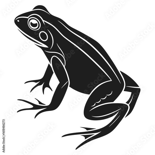 Black frog silhouette with white accents amphibian