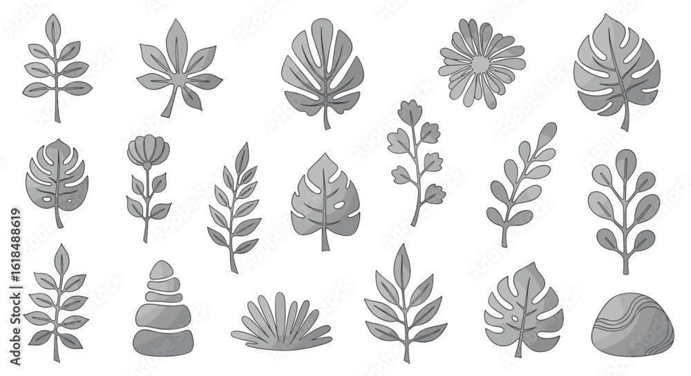 Collection of various gray scale botanical illustrations of leaves flowers and plant life on white background