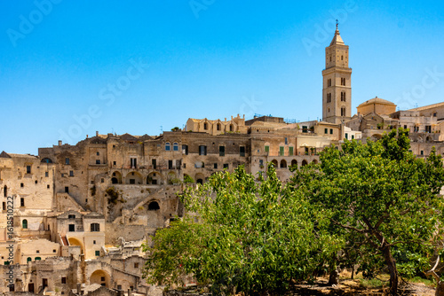 View of Matera with a tree