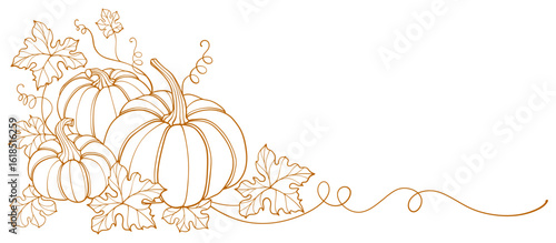 Pumpkin thanksgiving element vector illustration