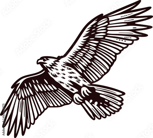 Detailed hand drawn flying eagle illustration with outstretched wings vintage engraving raptor bird art