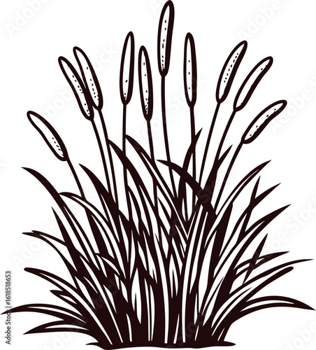 Silhouette illustration of bulrush reeds with elongated stems and leaves isolated on white background
