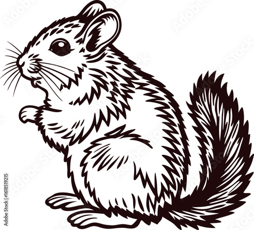 Detailed line art illustration of a fluffy chinchilla sitting with bushy tail and alert expression on white background