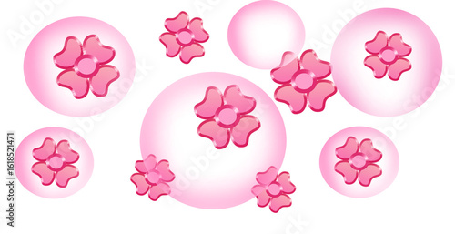 Pink  flowers and soap bubbles on transparent background