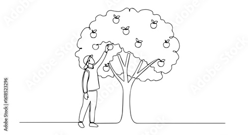 Continuous line drawing of person reaching for apple tree, with ripe fruits hanging from branches. Apple tree harvest season depicted in clean, minimalist style.