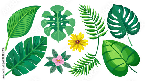Vector art of an assortment of tropical leaves and flowers, isolated on a white background