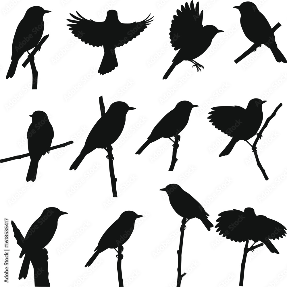 Obraz premium Collection of Diverse Bird Silhouettes Vector Art, Various Poses and Species, Ideal for Nature, Wildlife, Avian, and Environmental Design Projects.