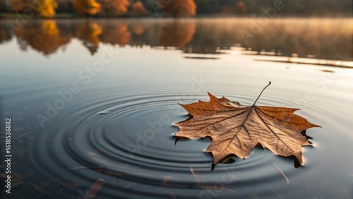 A single autumn leaf floating on a calm lake creating ripples in the water on a misty morning