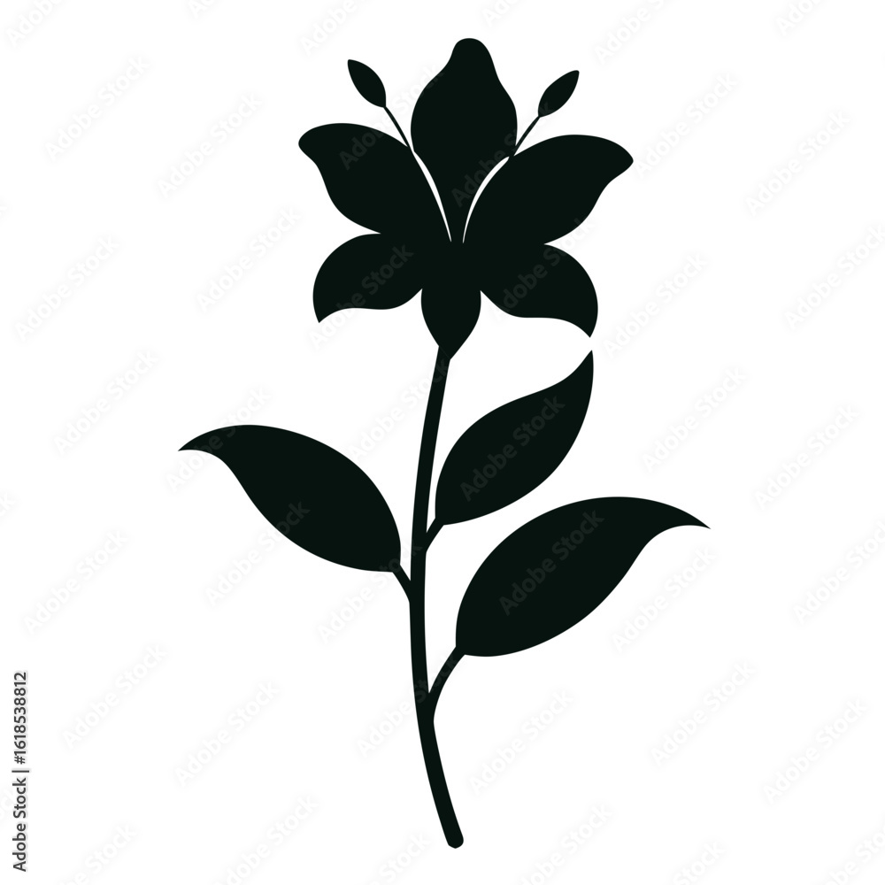 Fototapeta premium lily flower isolated on white