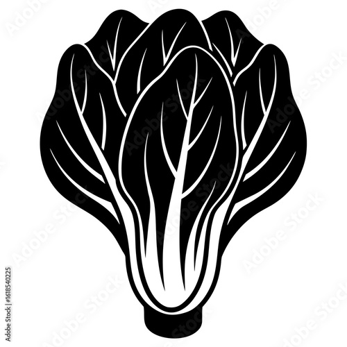 Vector art of black and white vector illustration of bok choy isolated on white background