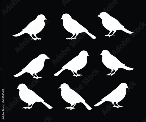 Canary and Sparrow Bird Silhouette Set Minimal Vector Birds in Singing, Flying and Perched Poses