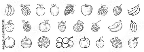 Fruit sketch and outline vector set in hand-drawn doodle style with apples, bananas, grapes, and more