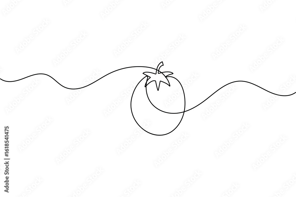 Obraz premium Continuous one line tomato drawing minimal style outline vector isolated illustration 