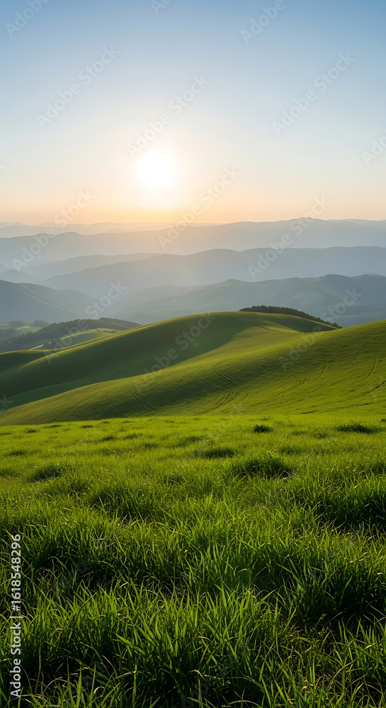 Fototapeta premium Green rolling hills under a bright sun at dawn
