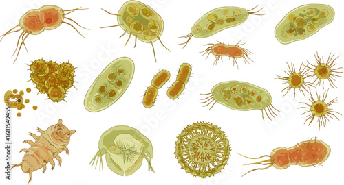 Assortment of Essential Survival Gear Arranged Neatly Against a Clean White Isolated Studio Backdrop