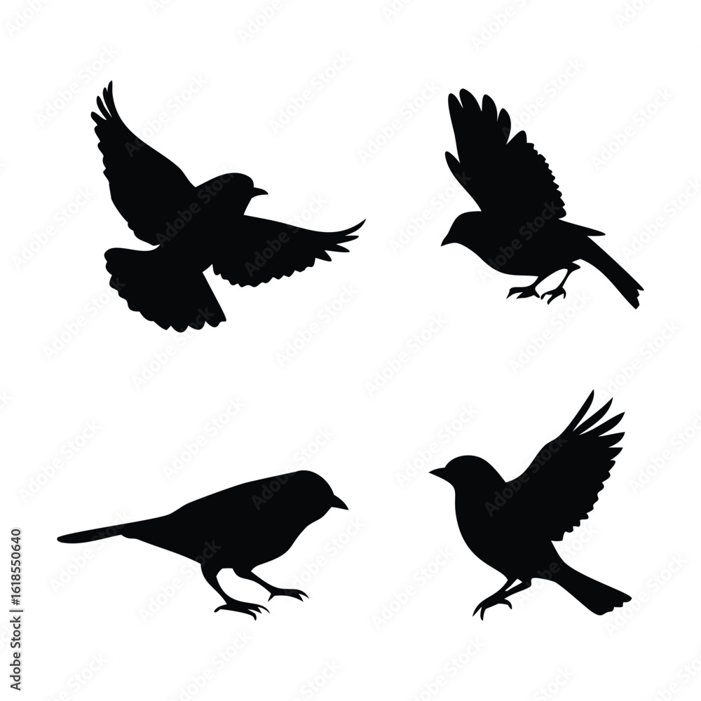 Obraz premium Canary and Sparrow Bird Silhouette Set Minimal Vector Birds in Singing, Flying and Perched Poses